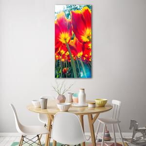Vertikální Fotoobraz na skle Červené tulipány osv-113693972