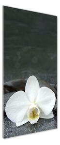 Vertikální Fotoobraz na skle Orchidej kameny osv-113617594
