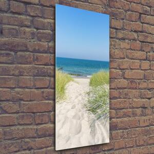 Vertikální Foto obraz skleněný svislý Mořské duny osv-113707111