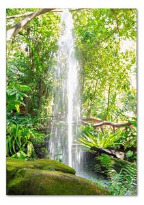Vertikální Fotoobraz na skle Vodopád v džungli osv-113827888