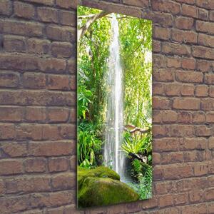 Vertikální Fotoobraz na skle Vodopád v džungli osv-113827888