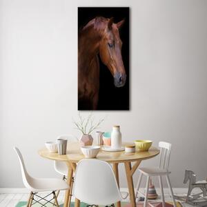 Vertikální Foto obraz sklo tvrzené Portrét koně osv-114030424
