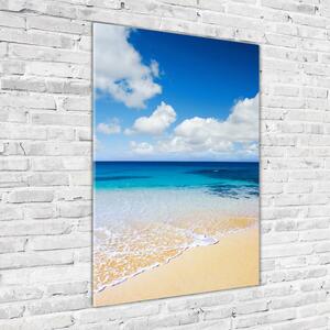 Vertikální Foto obraz skleněný svislý Tropická pláž osv-11574570