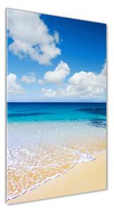 Vertikální Foto obraz skleněný svislý Tropická pláž osv-11574570