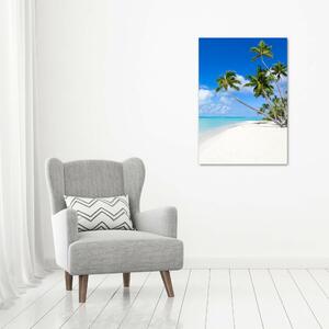 Vertikální Foto obraz skleněný svislý Tropická pláž osv-116010752