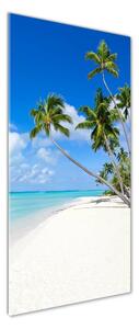 Vertikální Foto obraz skleněný svislý Tropická pláž osv-116010752