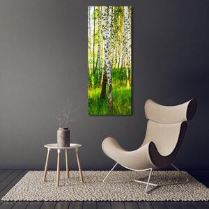 Vertikální Foto obraz sklo tvrzené Břízový les osv-116168372