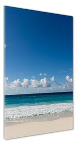 Vertikální Foto obraz skleněný svislý Tropická pláž osv-116222008