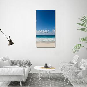 Vertikální Foto obraz skleněný svislý Tropická pláž osv-116222008