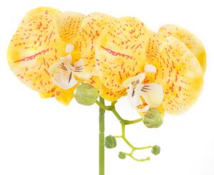 Umělá orchidej v květináči Žlutá MORBIS
