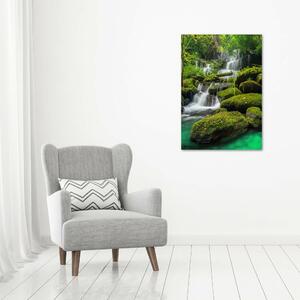 Vertikální Fotoobraz na skle Vodopád v džungli osv-116886736