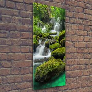 Vertikální Fotoobraz na skle Vodopád v džungli osv-116886736