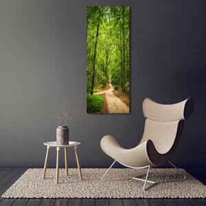 Vertikální Foto obraz na plátně Stezka v lese ocv-117628205
