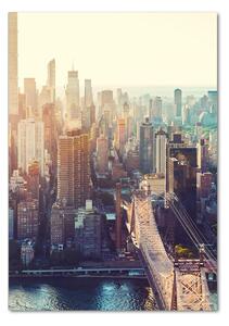 Vertikální Fotoobraz na skle Nový York osv-117684952