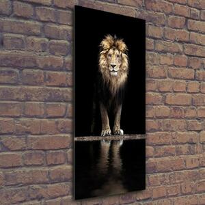 Vertikální Foto obraz sklo tvrzené Portrét lva osv-118199528