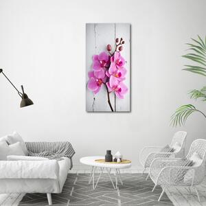 Vertikální Foto obraz na plátně Růžová orchidej ocv-118409675