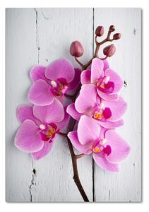 Vertikální Fotoobraz na skle Růžová orchidej osv-118409675