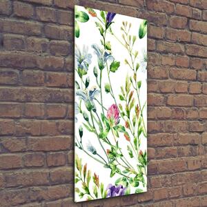 Vertikální Foto obraz sklo tvrzené Polní květiny osv-118519583