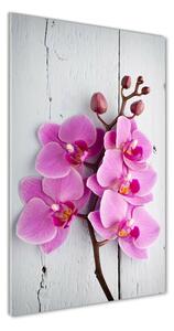 Vertikální Fotoobraz na skle Růžová orchidej osv-118409675