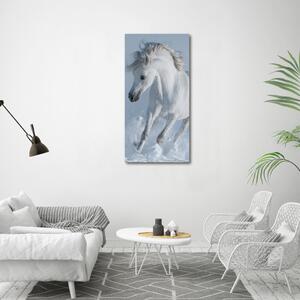 Vertikální Foto obraz na plátně Bílý kůň cval ocv-118288885