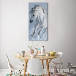 Vertikální Fotoobraz na skle Bílý kůň cval osv-118288885