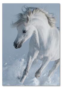 Vertikální Fotoobraz na skle Bílý kůň cval osv-118288885
