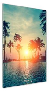 Vertikální Foto obraz skleněný svislý Tropická pláž osv-118937012