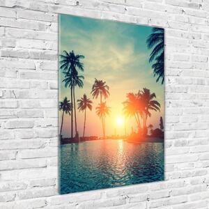 Vertikální Foto obraz skleněný svislý Tropická pláž osv-118937012