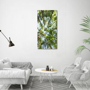 Vertikální Foto obraz canvas Koruna stromů ocv-119047799