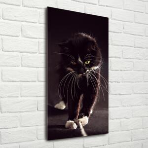 Vertikální Foto obraz sklo tvrzené Černá kočka osv-119089470