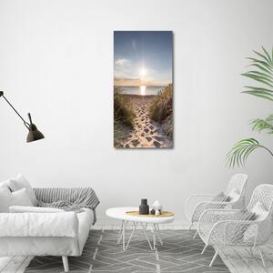 Vertikální Foto obraz skleněný svislý Mořské duny osv-119215284