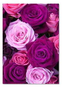 Vertikální Foto obraz sklo tvrzené Růžové růže osv-119226087
