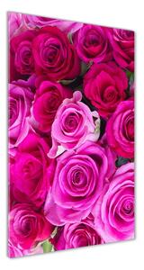 Vertikální Foto obraz sklo tvrzené Růžové růže osv-119338760