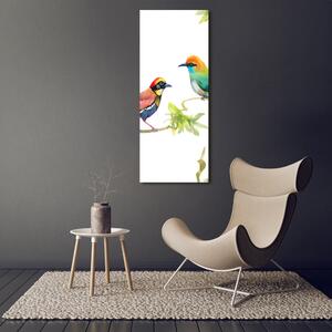 Vertikální Fotoobraz skleněný na stěnu do obýváku Ptáci osv-119482141