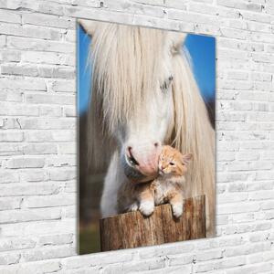 Vertikální Fotoobraz na skle Bílý kůň s kočkou osv-119704744