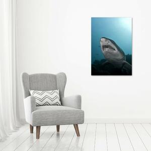 Vertikální Vertikální Foto obraz na plátně do obýváku Velký žralok ocv-120086004