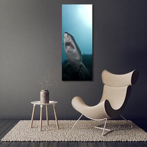 Vertikální Foto obraz sklo tvrzené Velký žralok osv-120086004