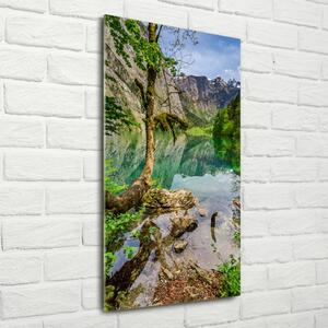 Vertikální Foto obraz skleněný svislý Jezero v horách osv-120186723