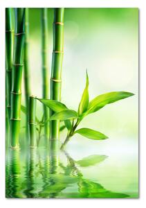 Vertikální Fotoobraz na skle Bambus ve vodě osv-120328411