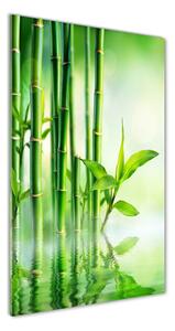 Vertikální Fotoobraz na skle Bambus ve vodě osv-120328411