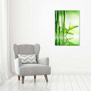 Vertikální Foto obraz na plátně Bambus ve vodě ocv-120328411
