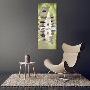 Vertikální Foto obraz skleněný svislý Kamení a květ osv-120405359