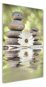 Vertikální Foto obraz skleněný svislý Kamení a květ osv-120405359