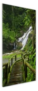 Vertikální Fotoobraz na skle Stezka v džungli osv-120475287