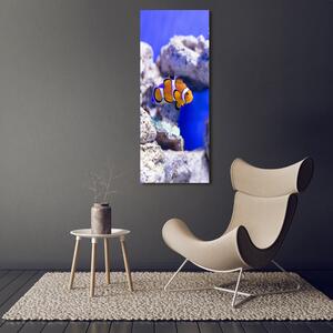 Vertikální Vertikální Foto obraz na plátně do obýváku Ryba Nemo ocv-120479478