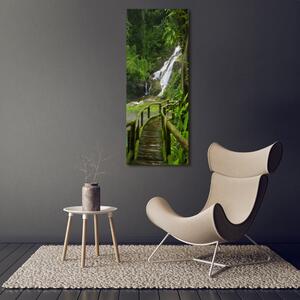 Vertikální Fotoobraz na skle Stezka v džungli osv-120475287