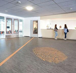 FORBO Marmoleum decibel Graphite 304835 - 2 bm