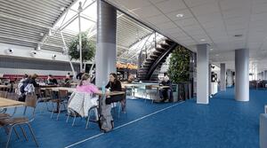 FORBO Marmoleum decibel Blue 303035 - 2 bm