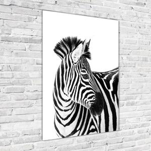 Vertikální Foto obraz fotografie na skle Zebra na sněhu osv-121577688