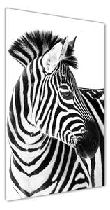 Vertikální Foto obraz fotografie na skle Zebra na sněhu osv-121577688